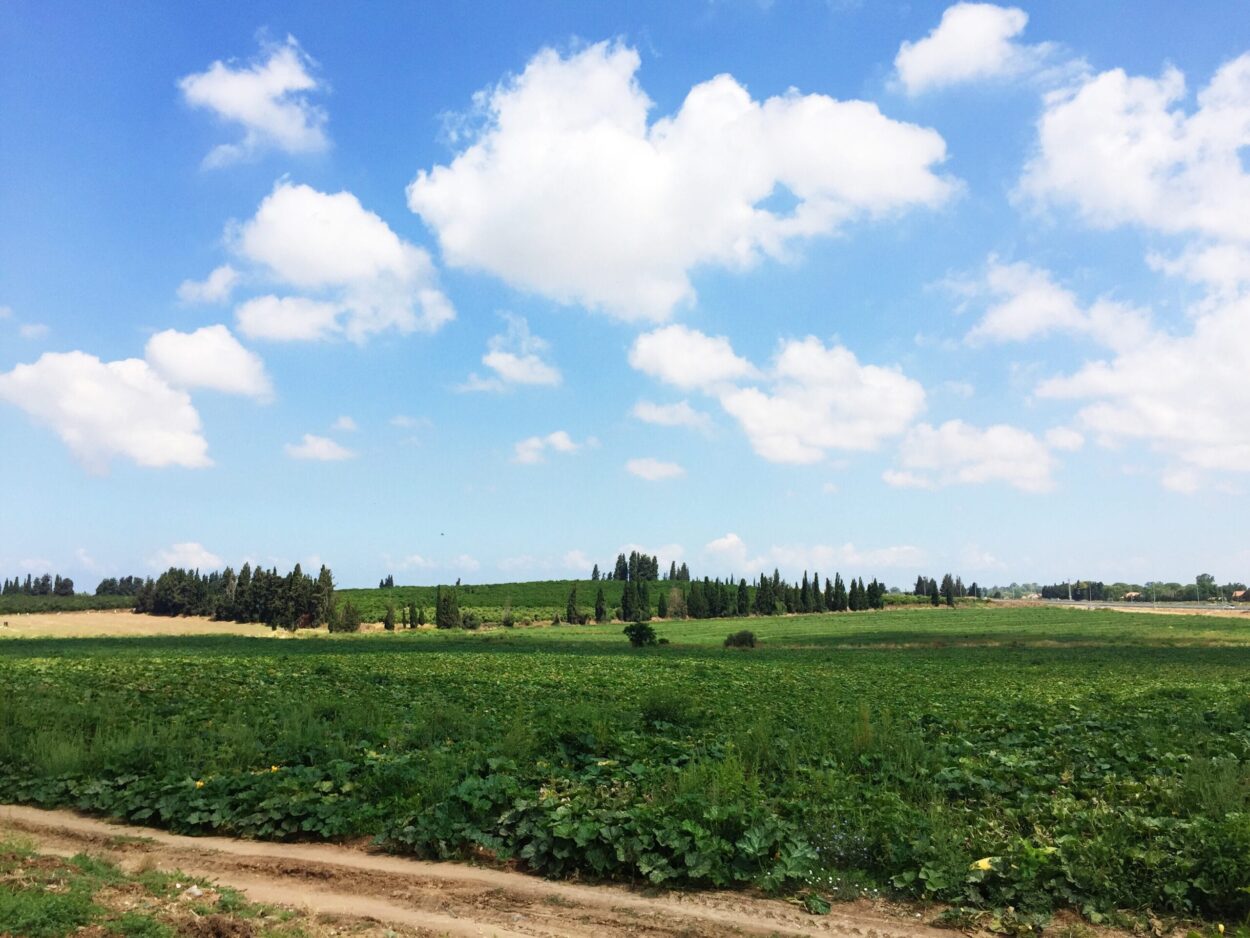 ימי בנימינה – בעקבות אהוד מנור