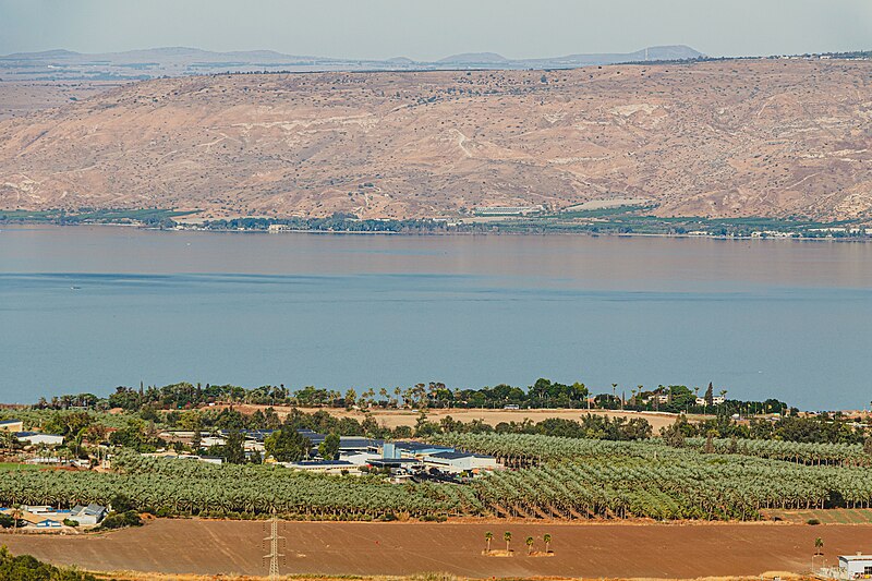 117291 the kinneret area PikiWiki Israel