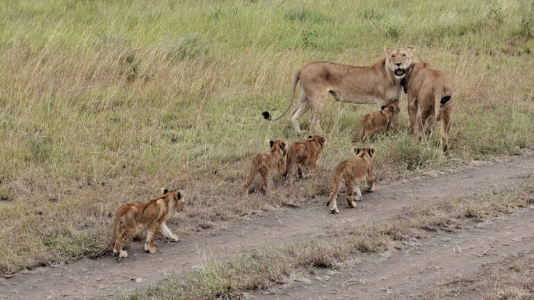 1738819050758