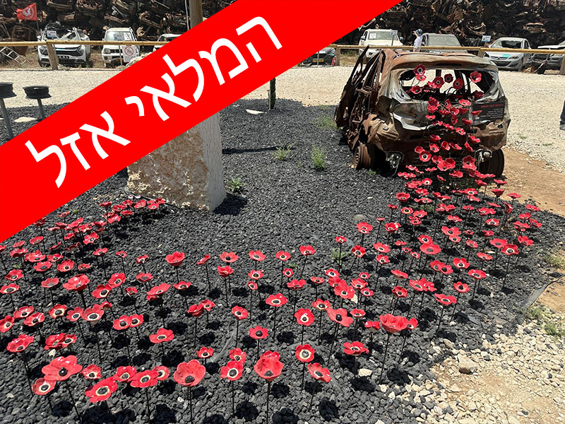 תמונה של WhatsApp 2024 06 19 בשעה 18.59.44 8bf90fe5 1 copy