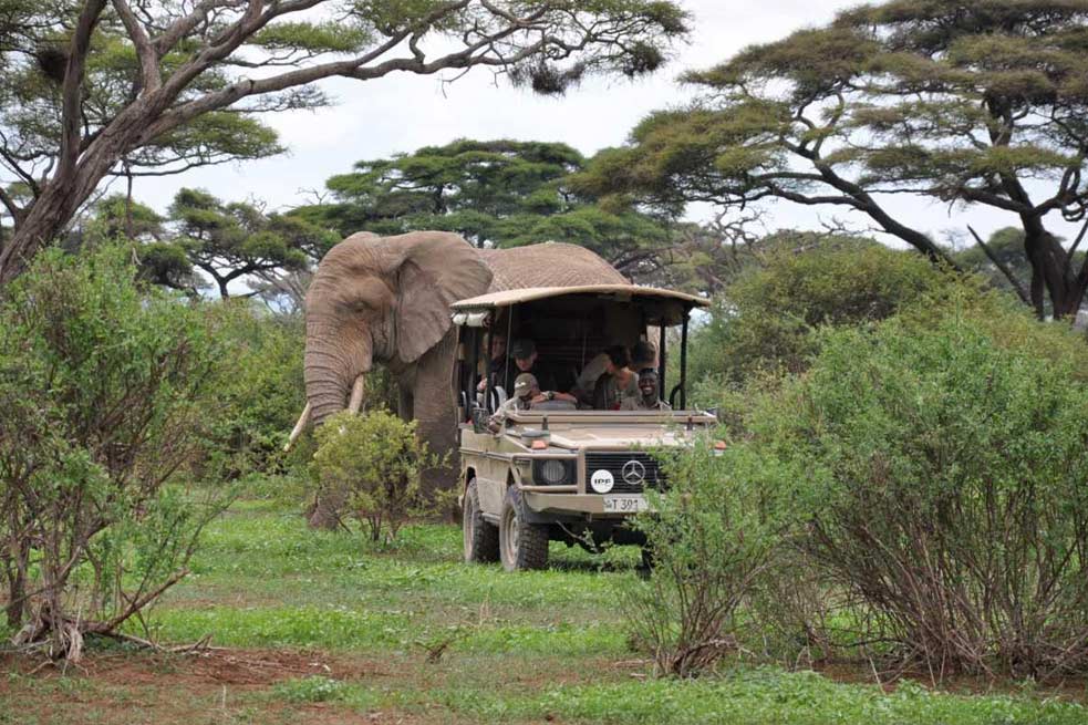 ספארי עומק בטנזניה בפסח 2026 4 arusha national park 3 1