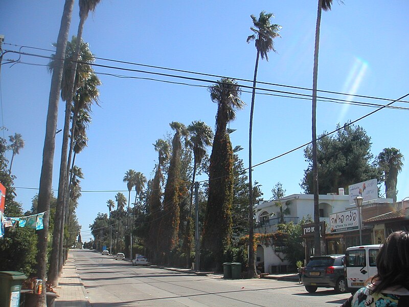 PikiWiki Israel 4472 Founders Street Binyamina
