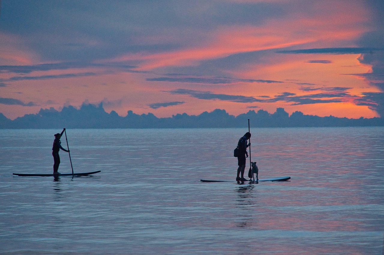 standup paddleboarding 6570168 1280