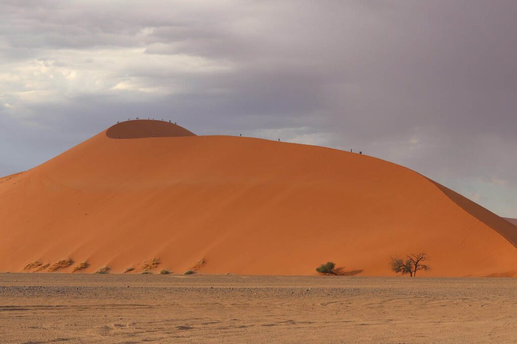 טיול בהתאמה אישית לנמיביה 15 sossusvlei 5339724 1280 copy