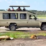 safari-land-cruiser copy