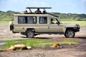 safari land cruiser copy