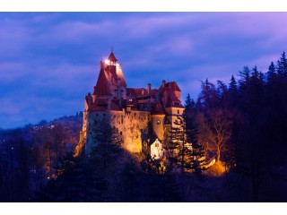 helicopter tour from bucharest with royal lunch at bran castle
