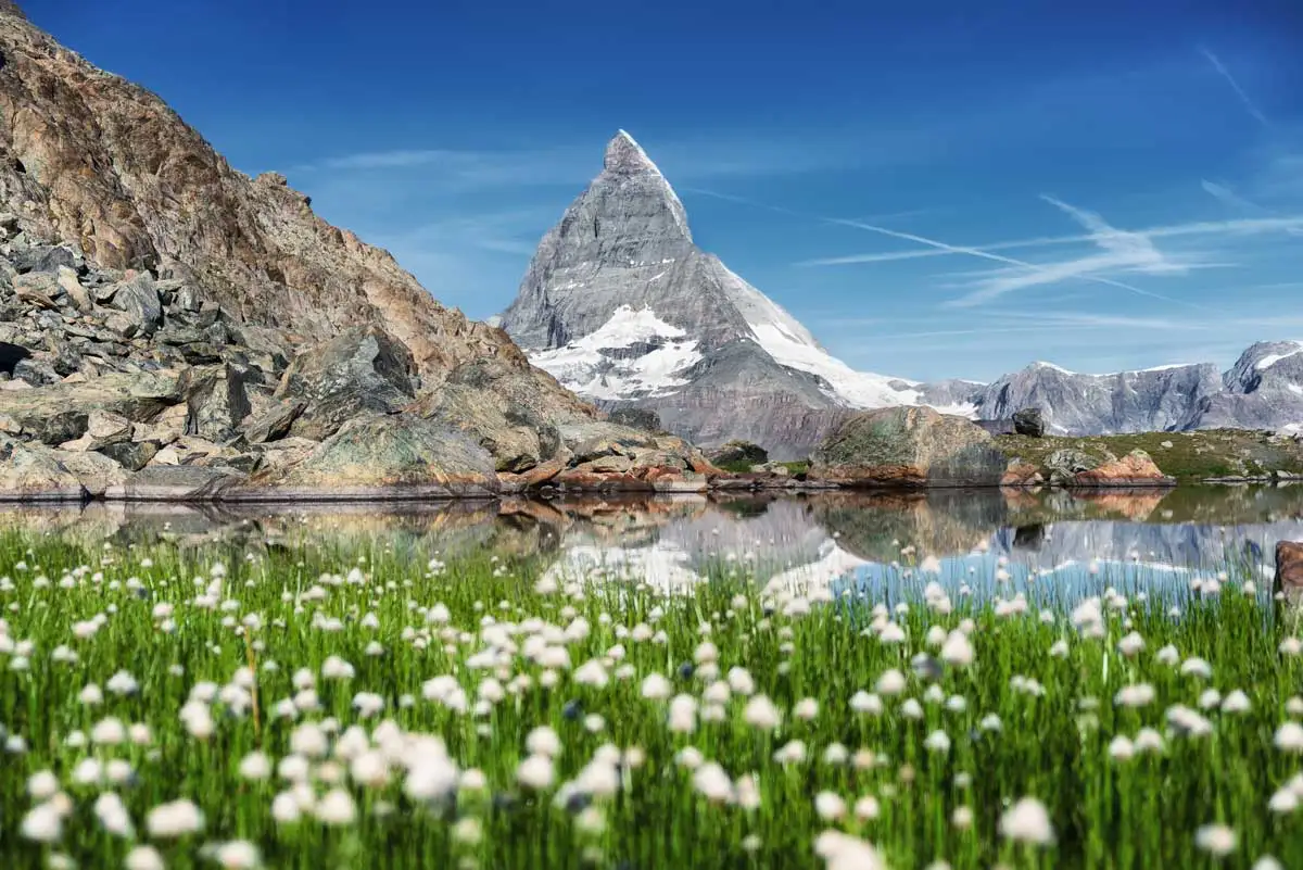 swiss alps copy