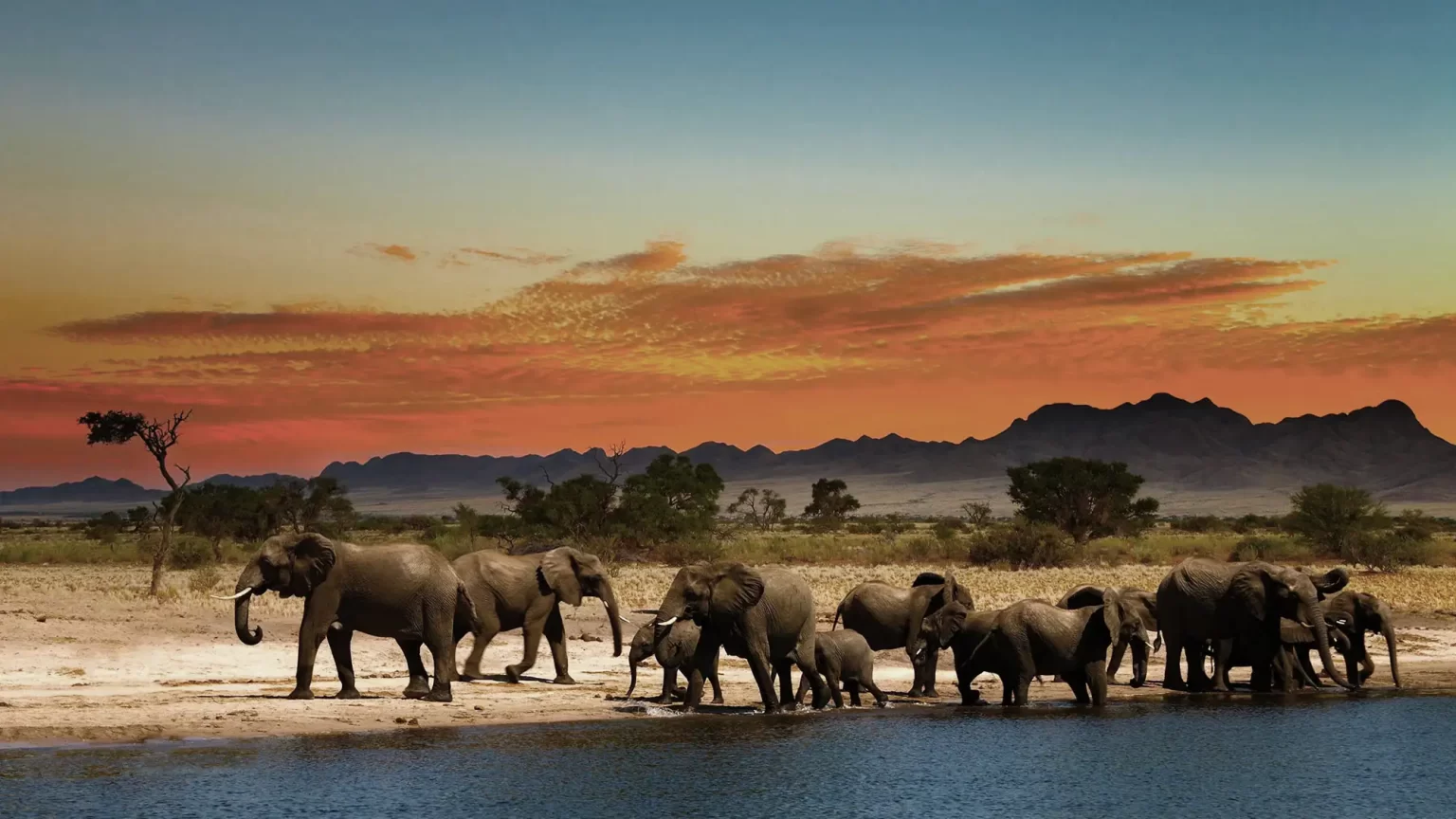 tanzania copy