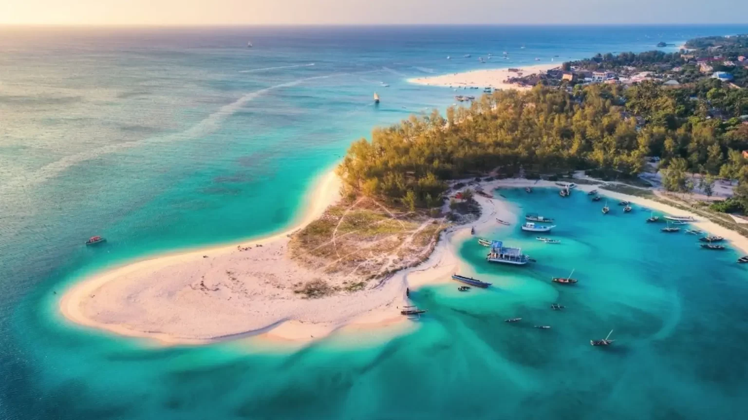 zanzibar copy