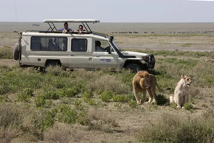 Vehicle with Lions 711px copy