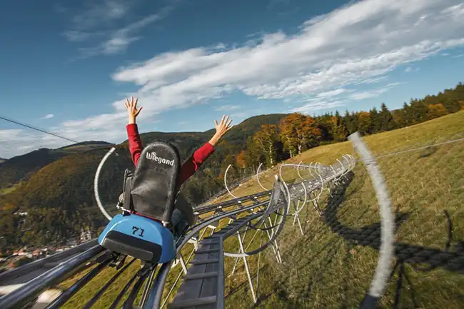 sight toboggan run hasenhorn coaster in todtnau n73210 170019 1 l copy