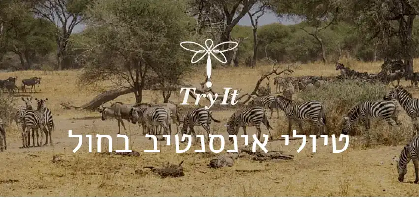 אונטנס22 1