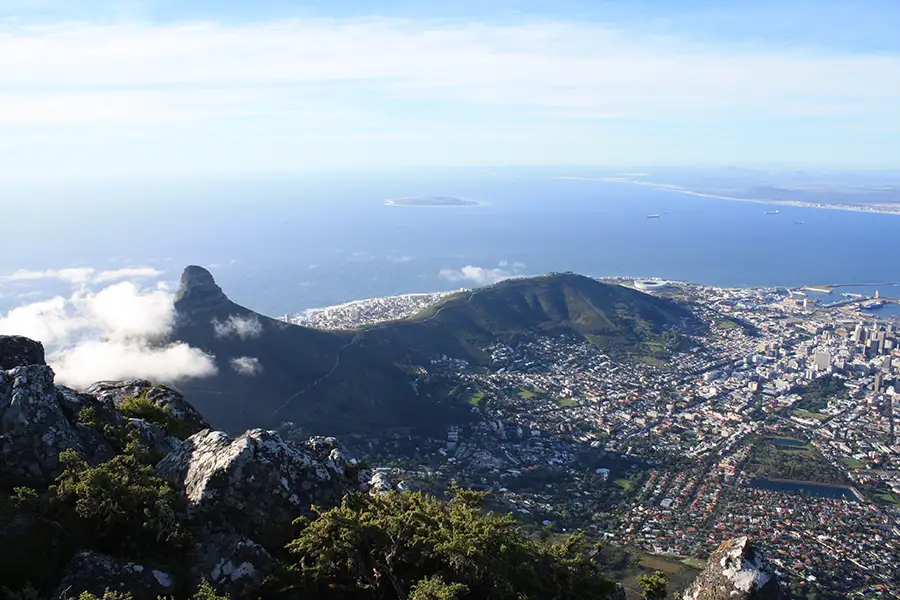 elgrincho cape town 102825 copy