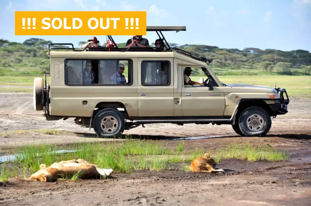 safari land cruiser copy copy